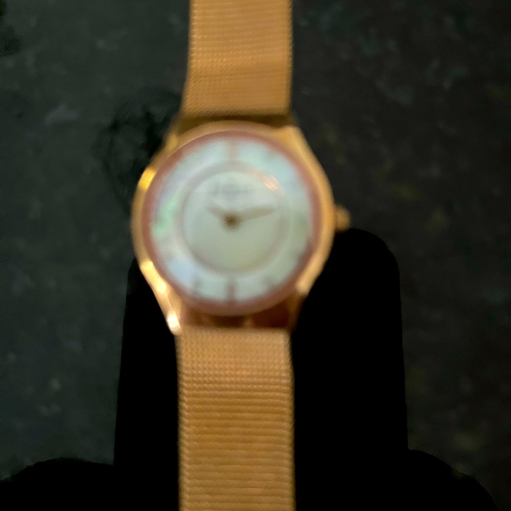 NWT SKAGEN Rose Gold Mesh Strap Watch
